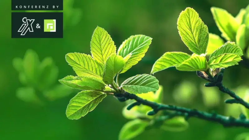 Frische grüne Blätter im Sonnenlicht, symbolisch für das Erwachen im Frühling. Konferenz by CX&.